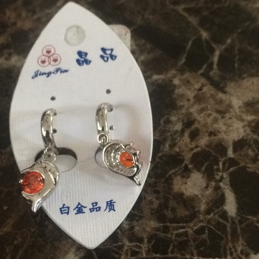 New pierced earrings